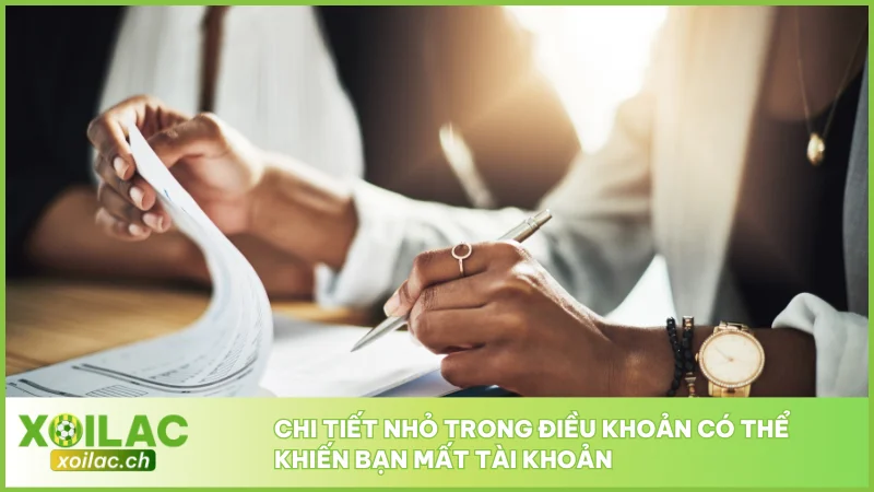 Chi tiết nhỏ trong điều khoản có thể khiến bạn mất tài khoản