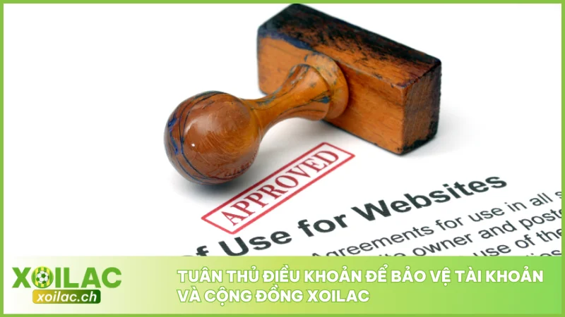 Tuân thủ điều khoản để bảo vệ tài khoản và cộng đồng Xoilac