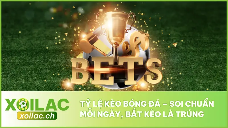 Tỷ Lệ Kèo Bóng Đá – Soi Chuẩn Mỗi Ngày, Bắt Kèo Là Trúng 1 Tỷ Lệ Kèo Bóng Đá – Soi Chuẩn Mỗi Ngày, Bắt Kèo Là Trúng