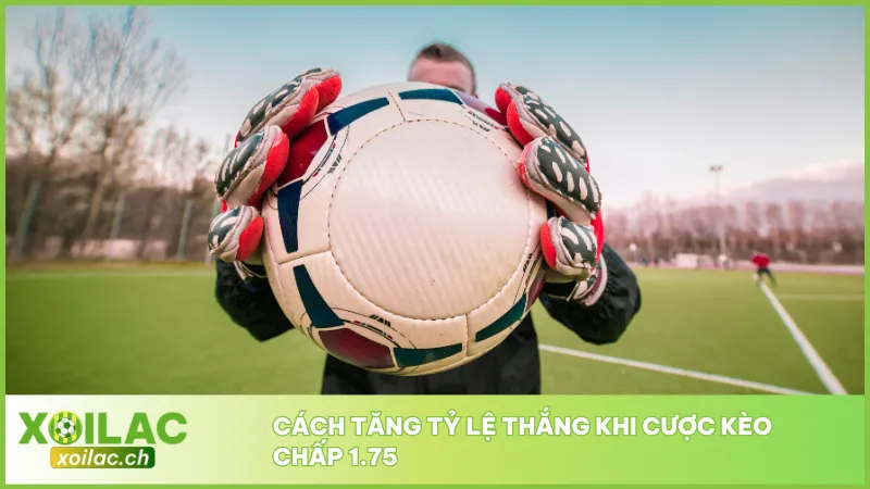 Hãy sử dụng dữ liệu thống kê từ các nguồn uy tín như Xoilac