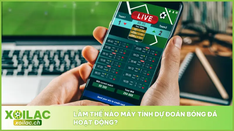 Các máy tính dự đoán bóng đá sử dụng nhiều loại dữ liệu khác nhau