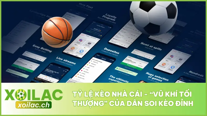 Tỷ Lệ Kèo Nhà Cái - “Vũ Khí Tối Thượng” Của Dân Soi Kèo Đỉnh 1 Tỷ Lệ Kèo Nhà Cái - “Vũ Khí Tối Thượng” Của Dân Soi Kèo Đỉnh