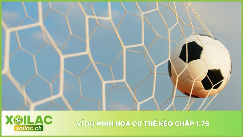 Tham khảo cách tính kèo 1.75 qua trận đấu giữa Manchester City và Crystal Palace